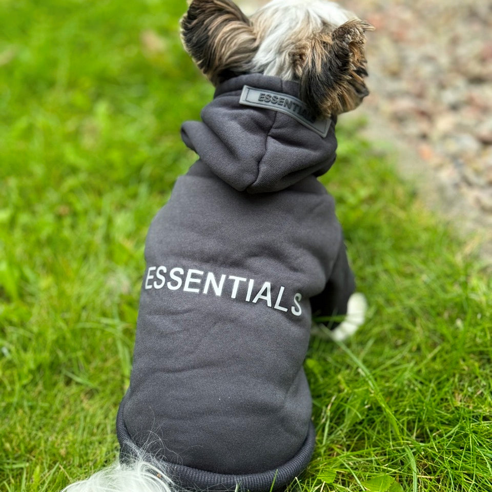 "Essentials" Hoodie