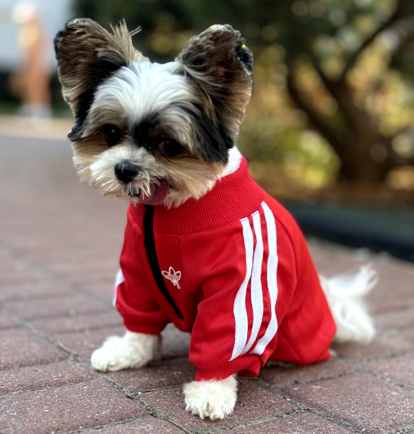 Red Pullover WIth Zipper