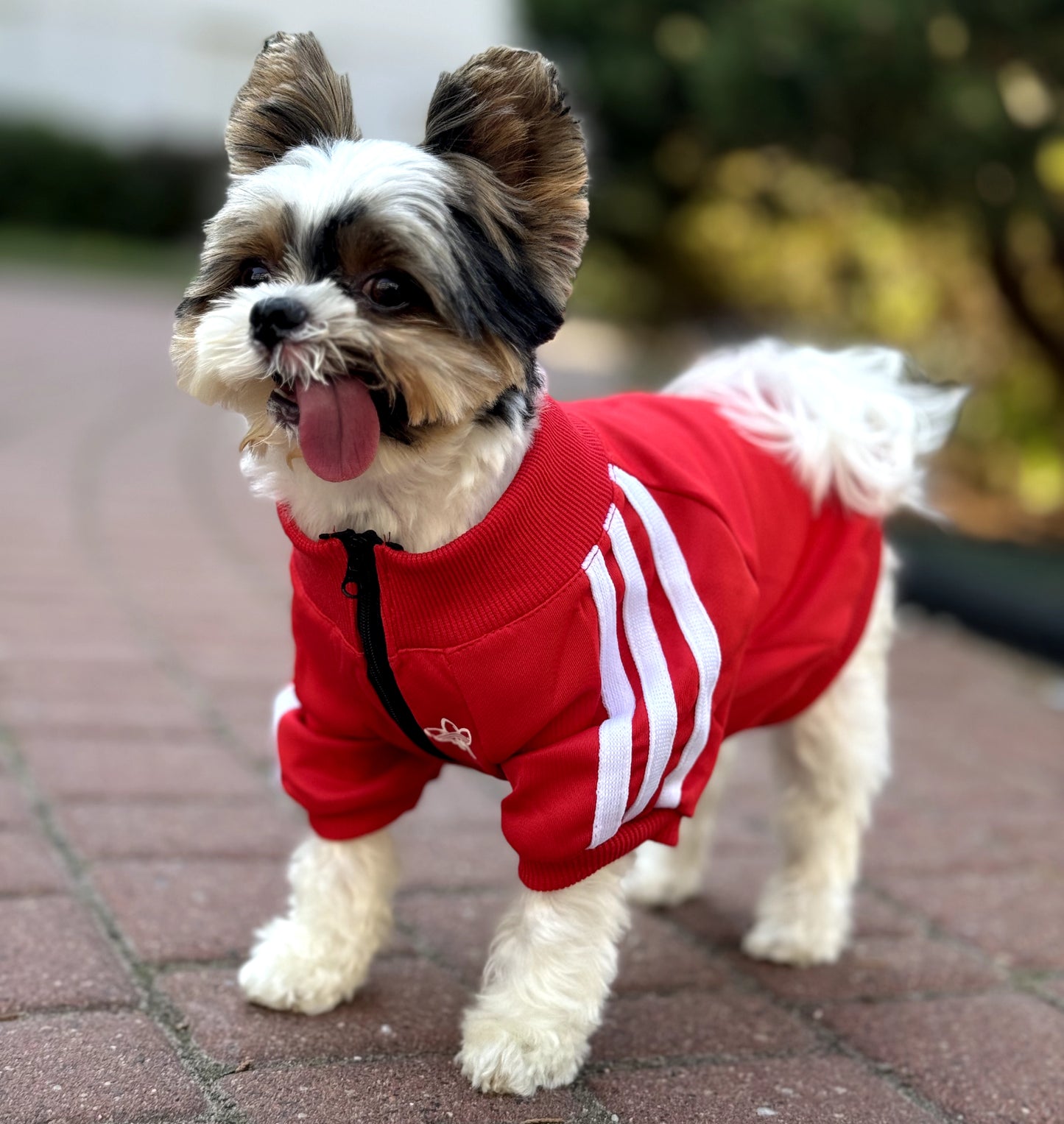 Red Pullover WIth Zipper