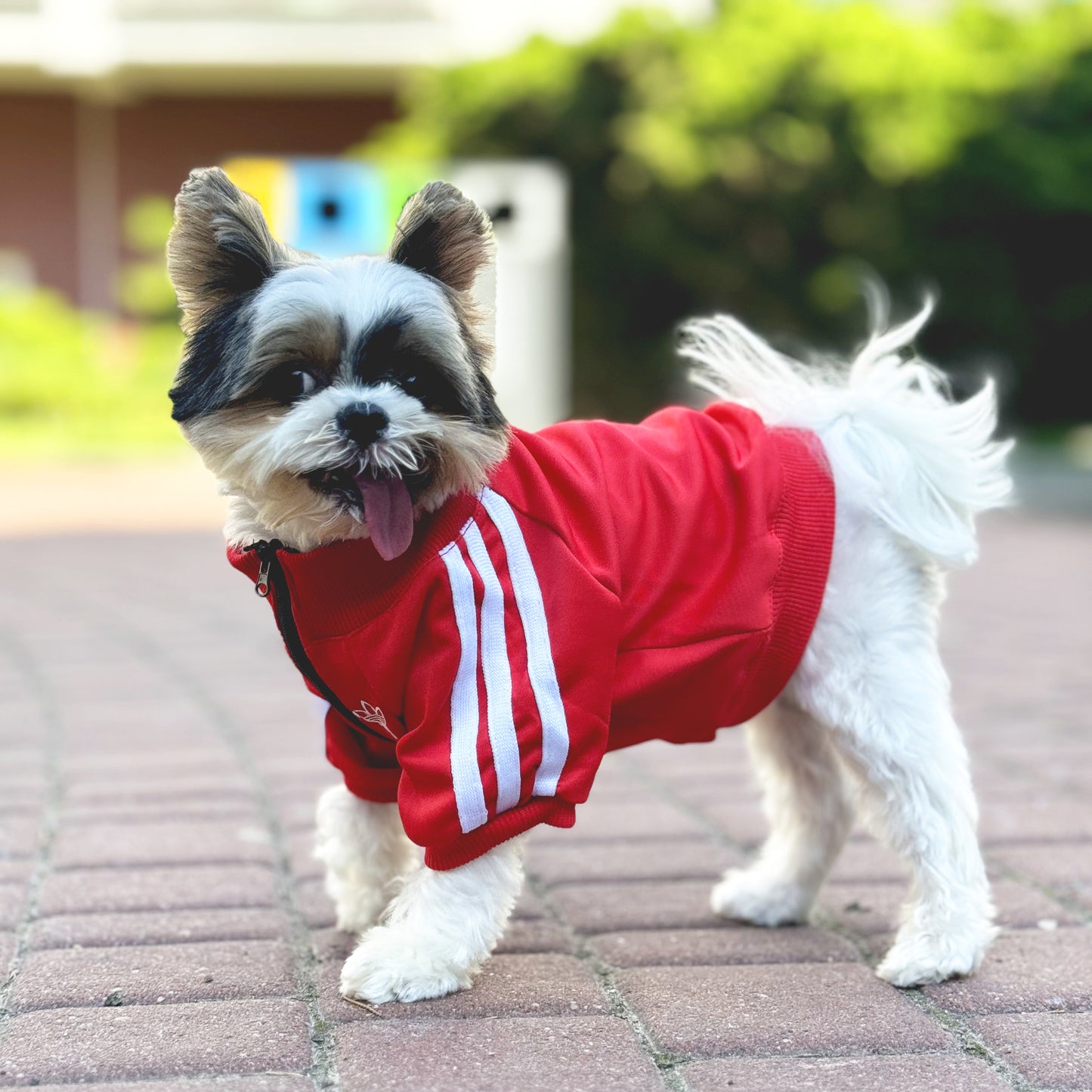 Red Pullover WIth Zipper