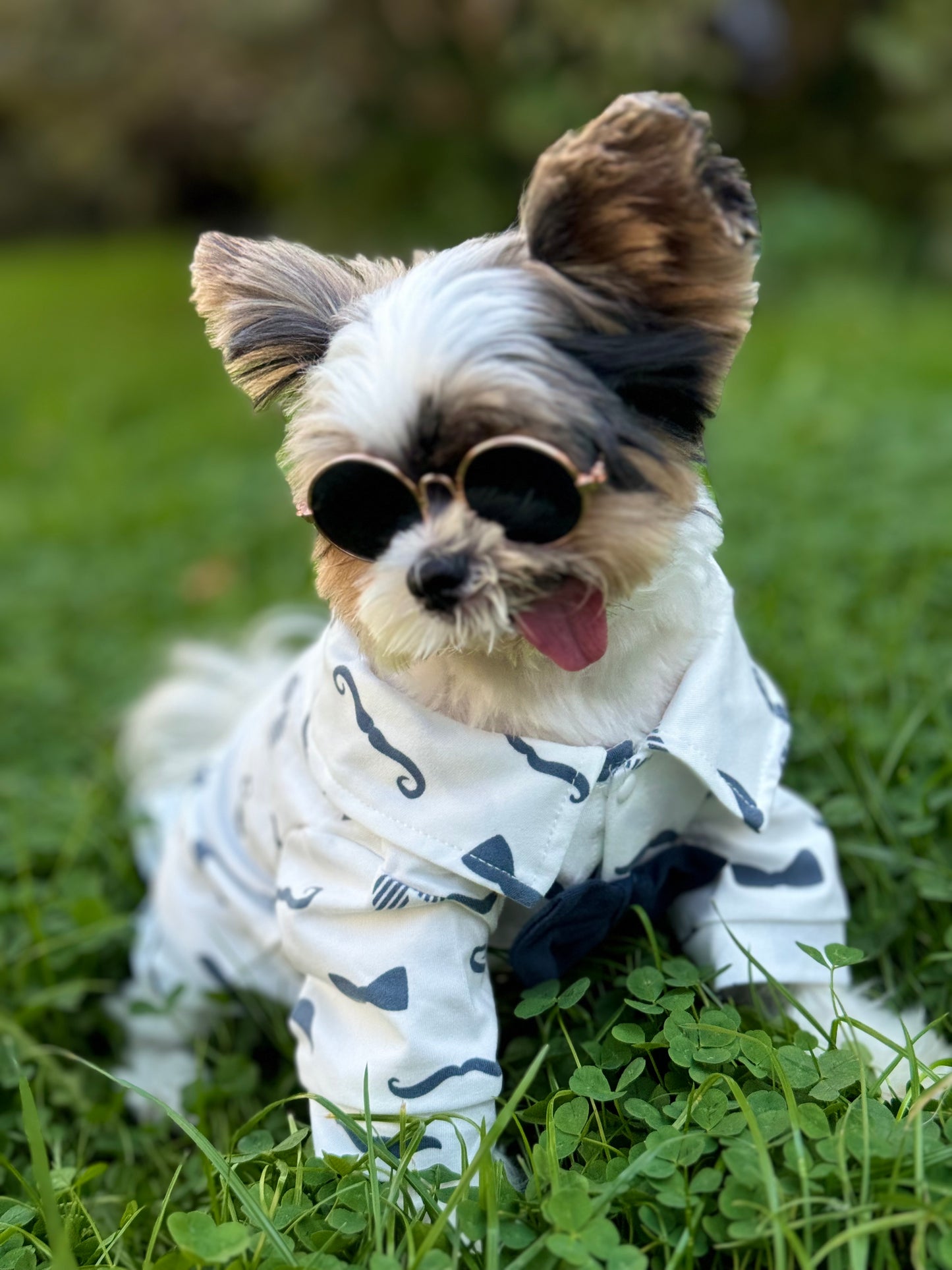 Stylish Pet Shirt