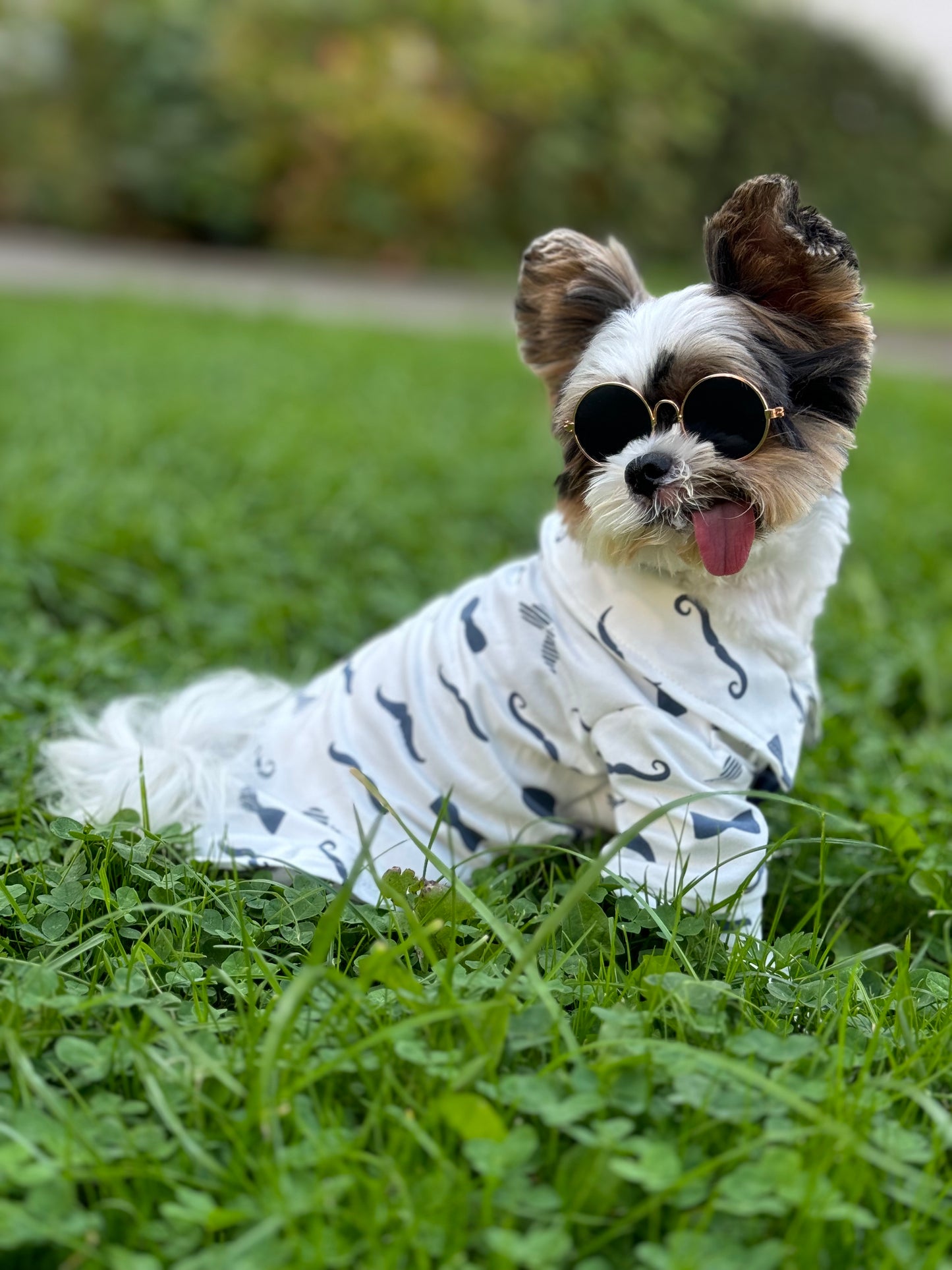 Stylish Pet Shirt