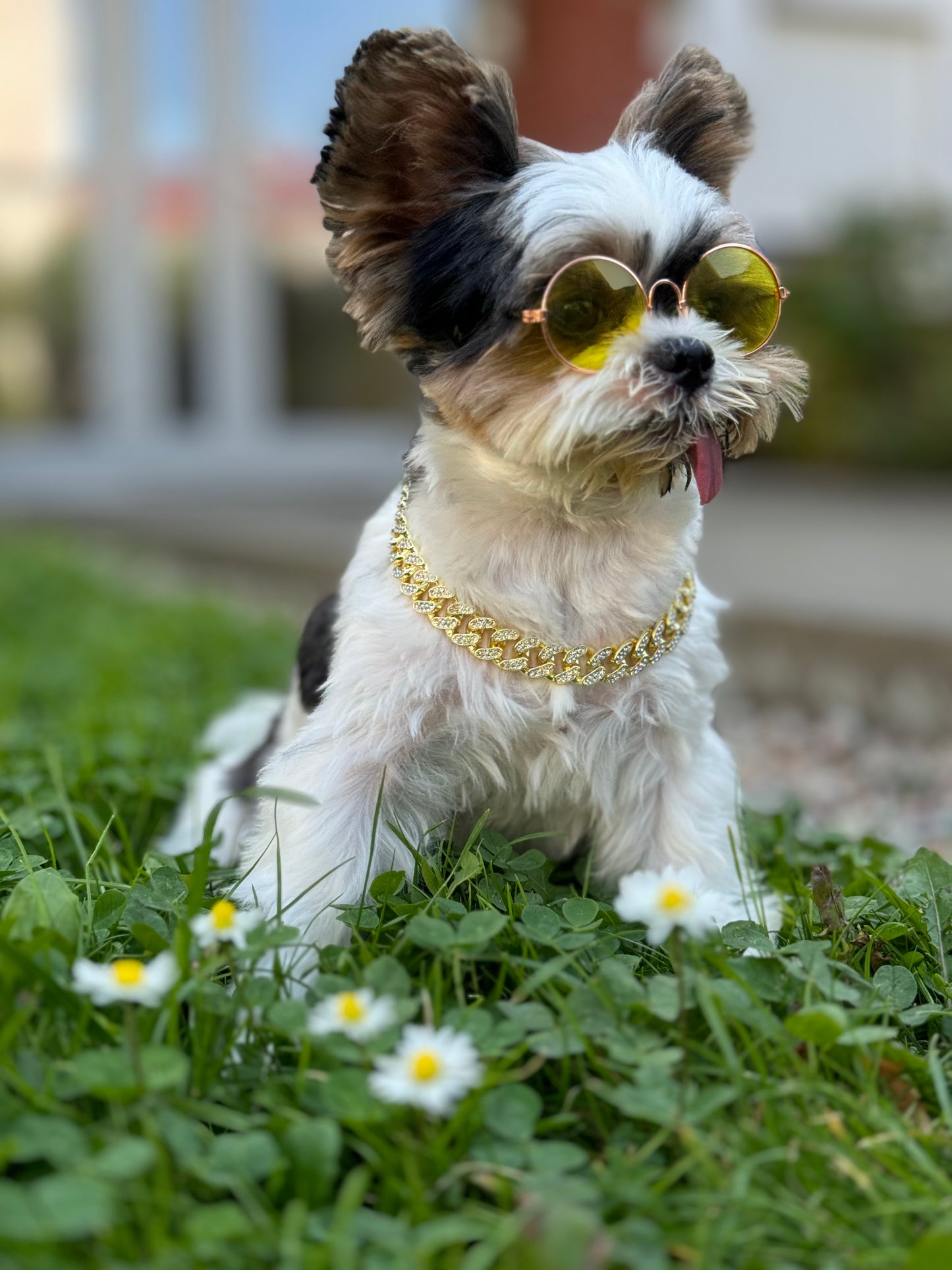 Bling Pet Chain Collar