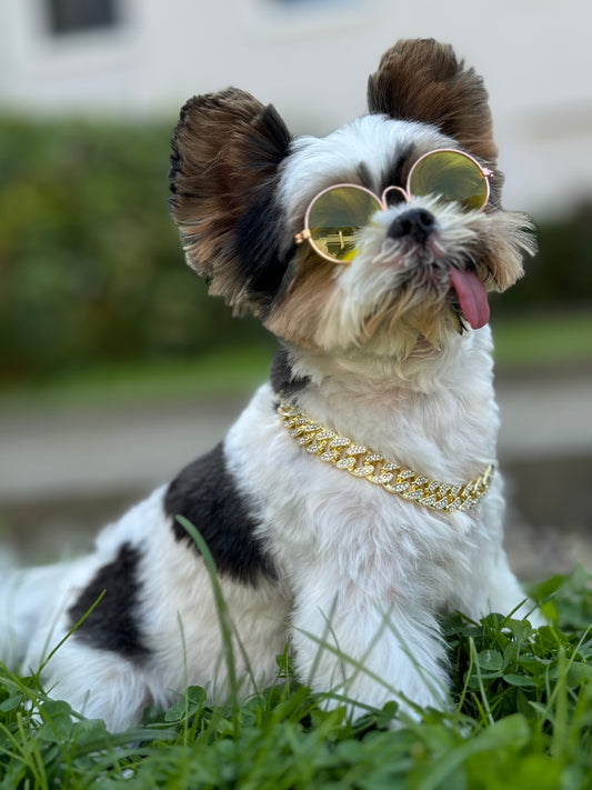 Bling Pet Chain Collar