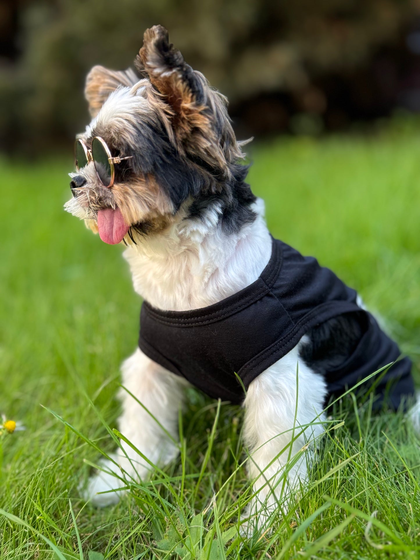 Security Pet Vest