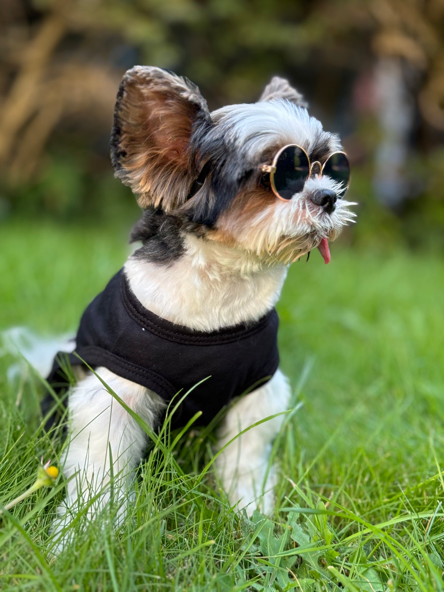 Security Pet Vest