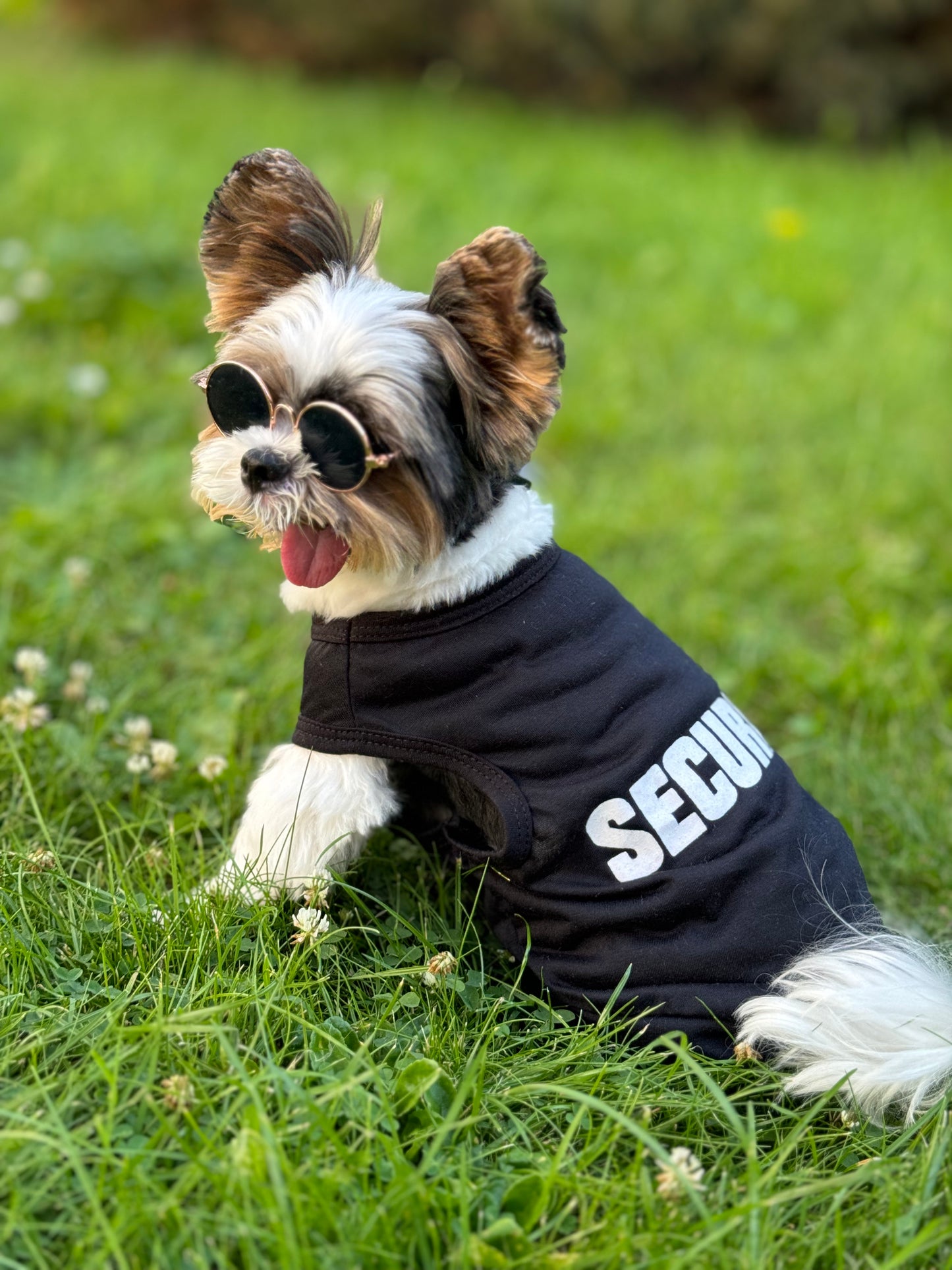 Security Pet Vest