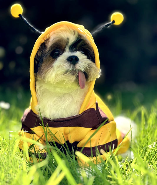 "Bee Dog" Hoodie