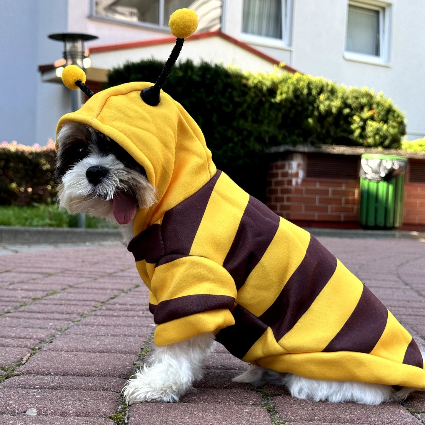 "Bee Dog" Hoodie