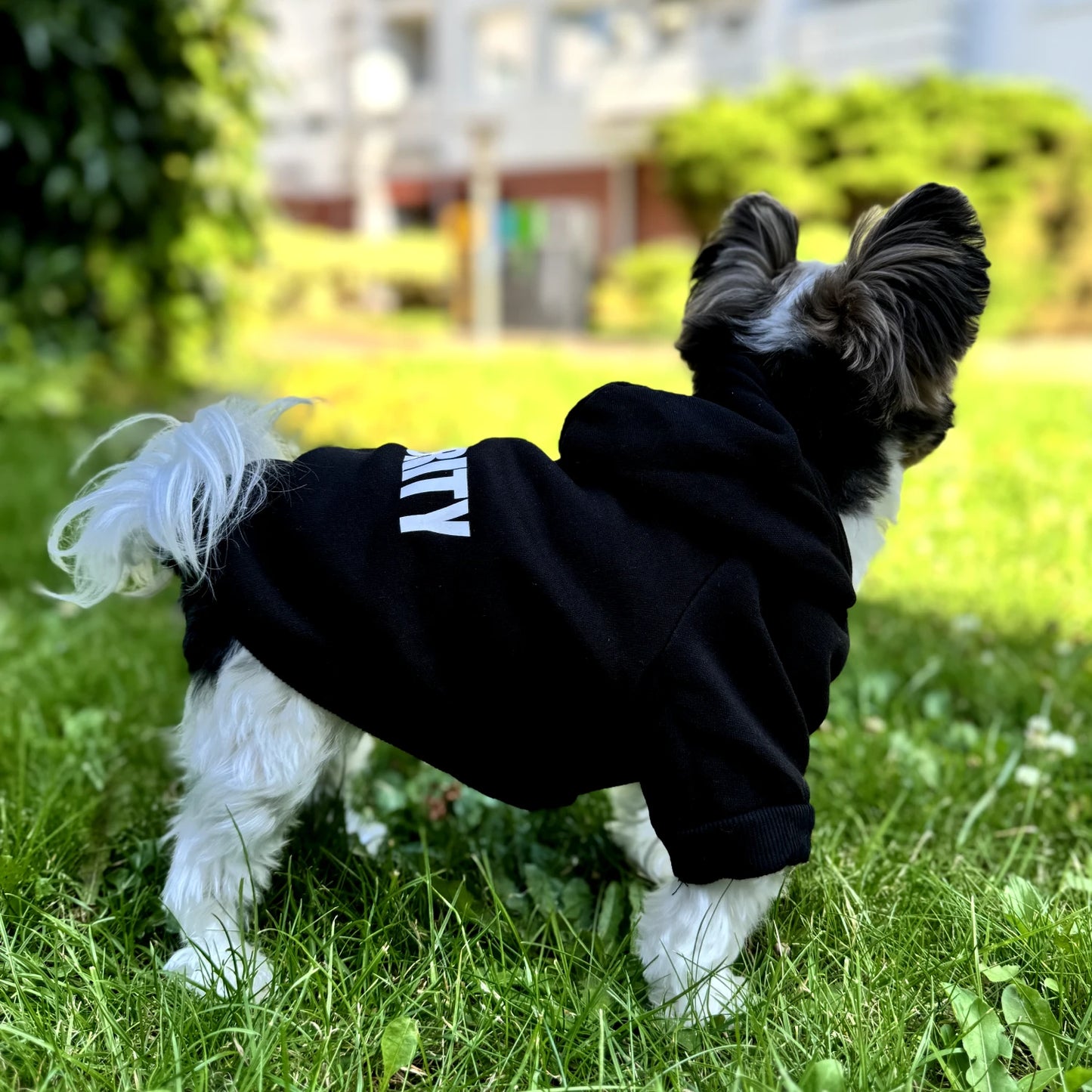 Security Dog Hoodie