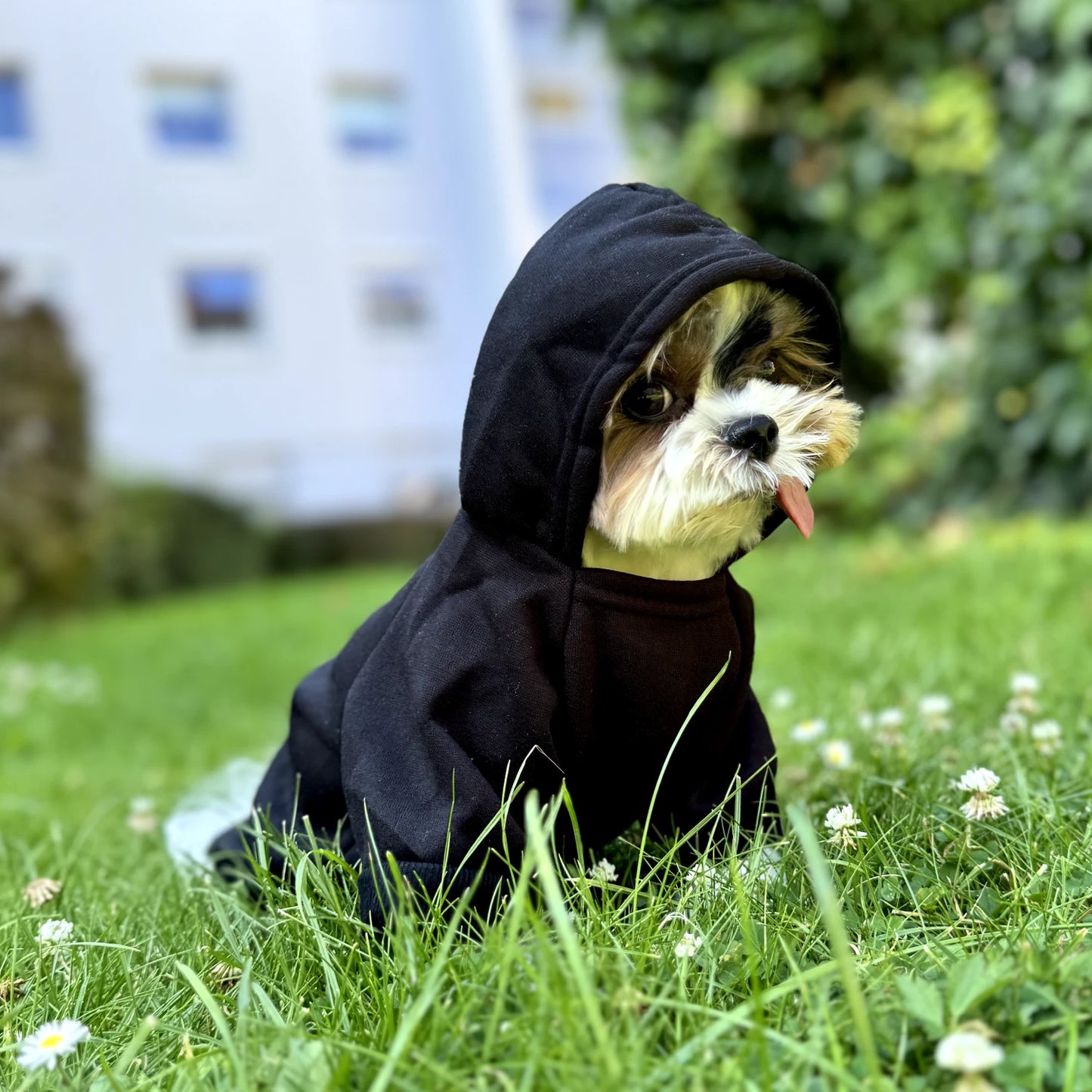 Security Dog Hoodie