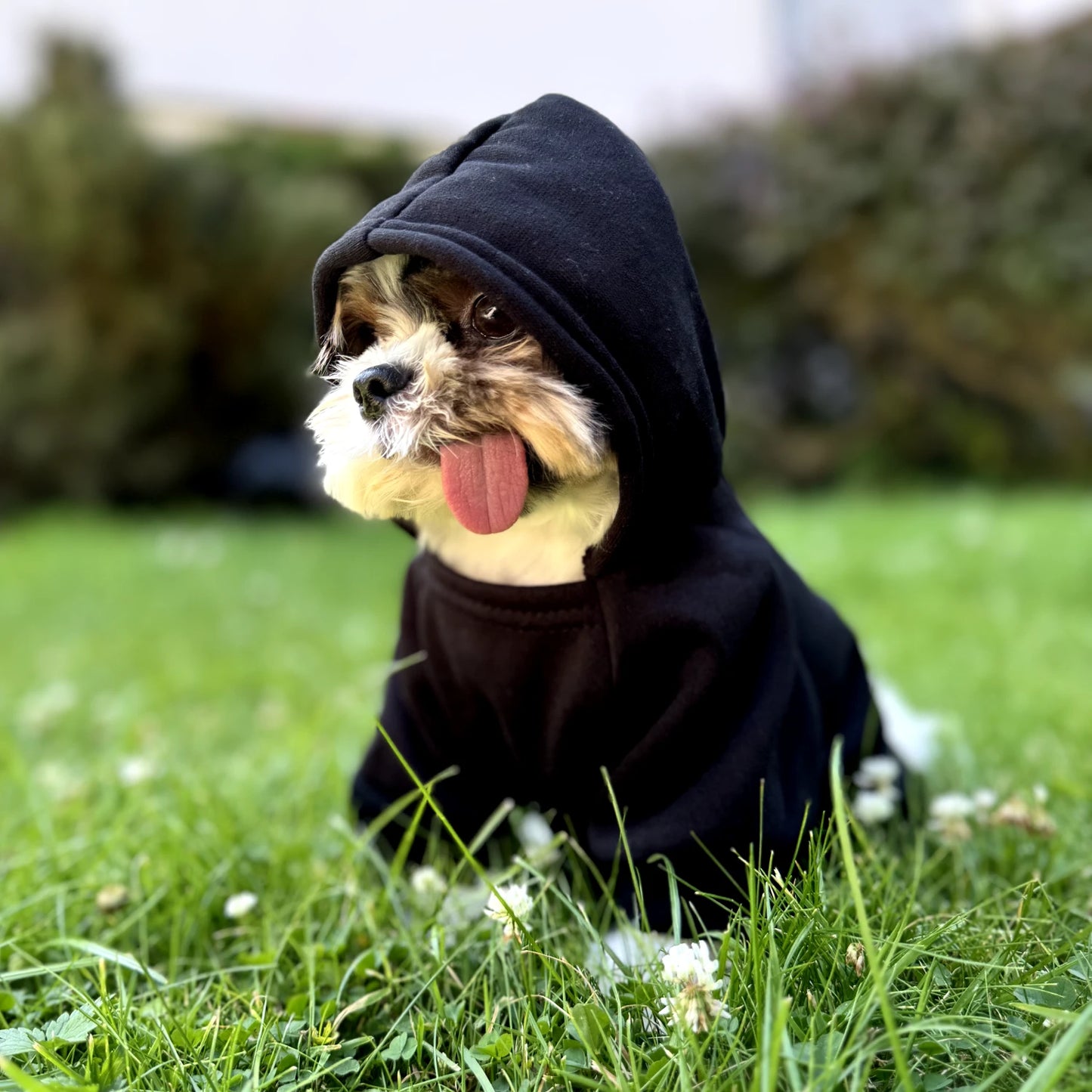 Security Dog Hoodie