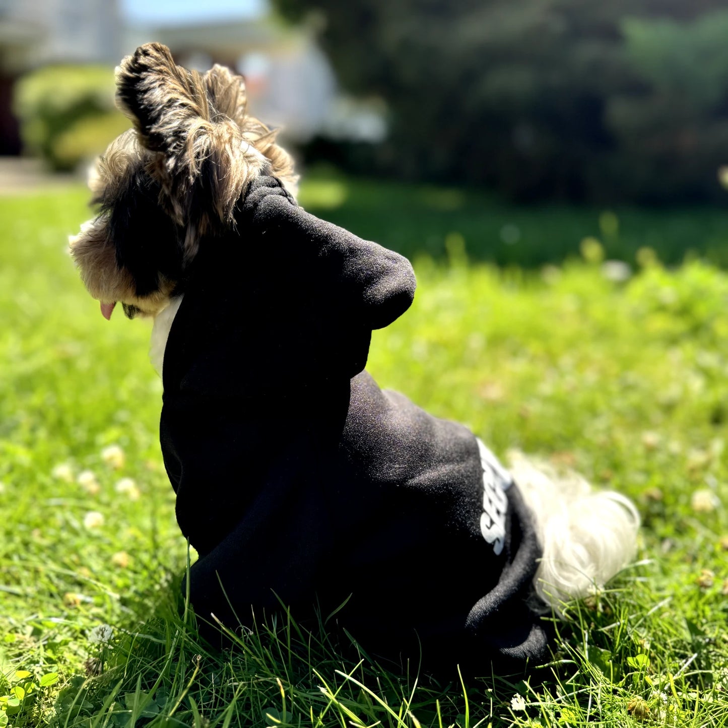 Security Dog Hoodie