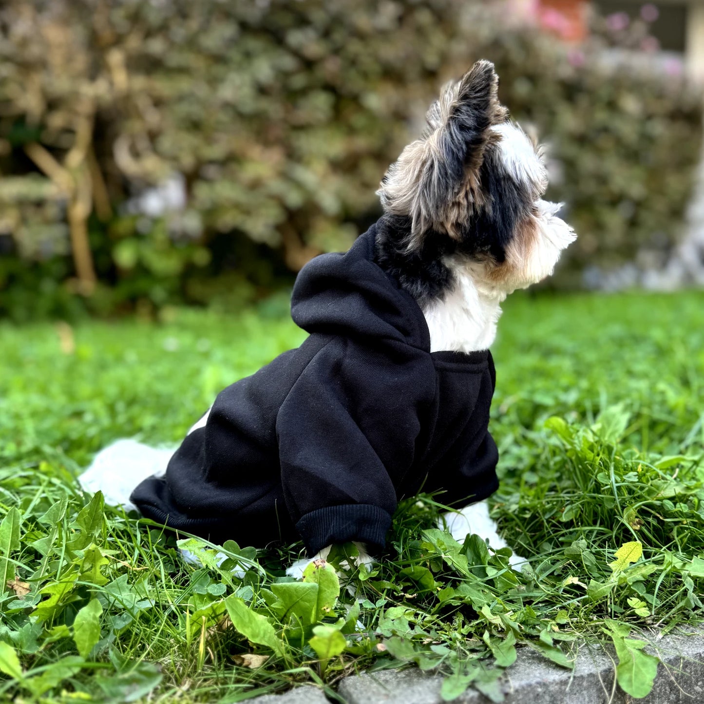 Security Dog Hoodie