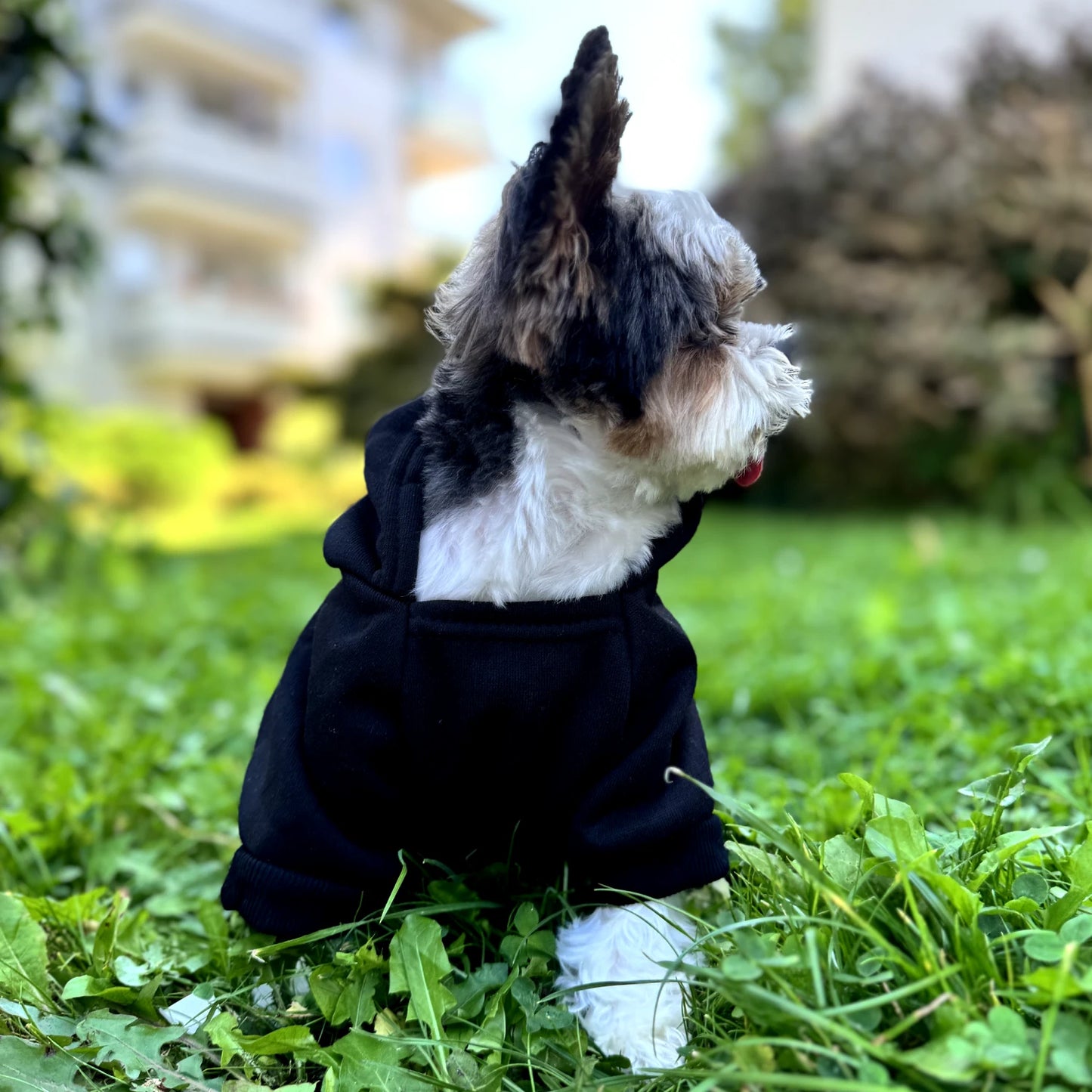 Security Dog Hoodie