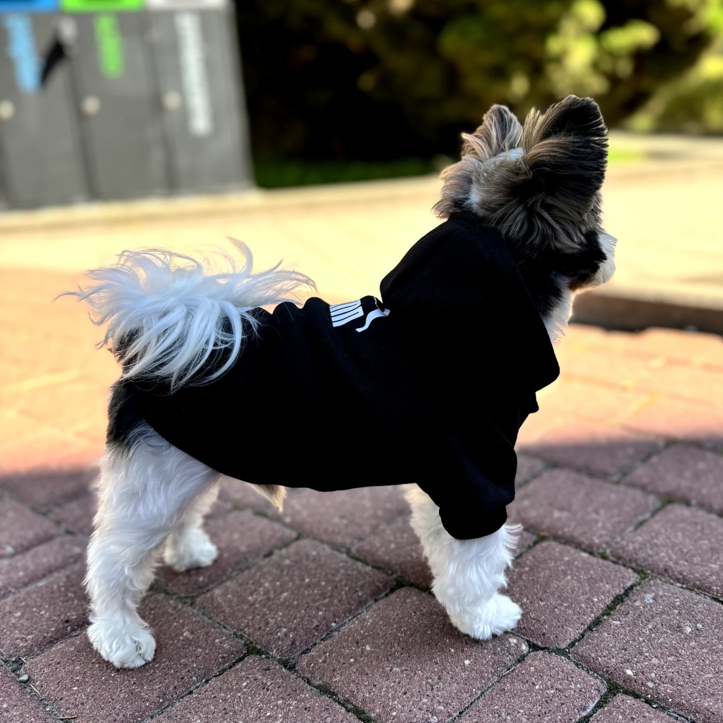 Logo Dog Hoodie