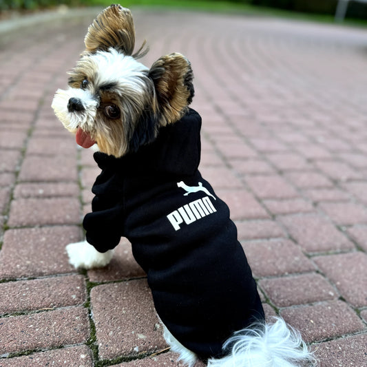 Logo Dog Hoodie