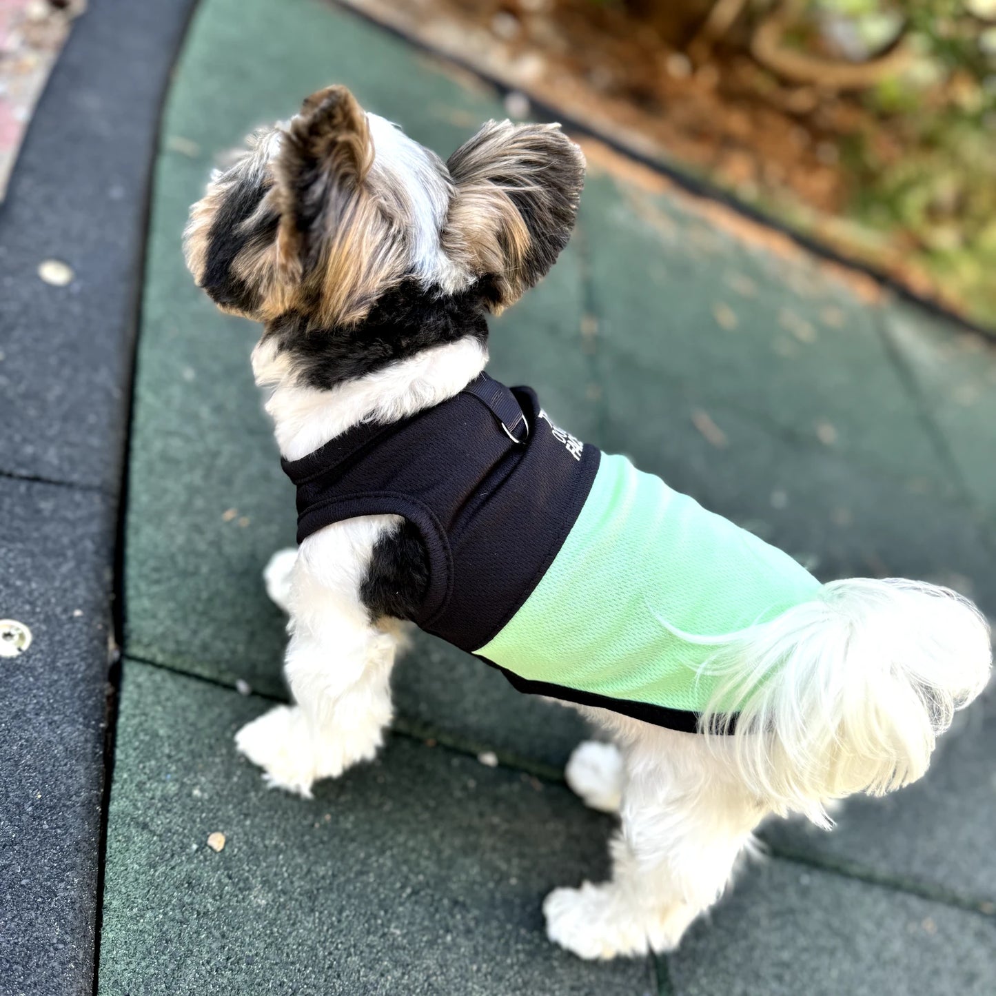 "TDF" Summer Dog Vest