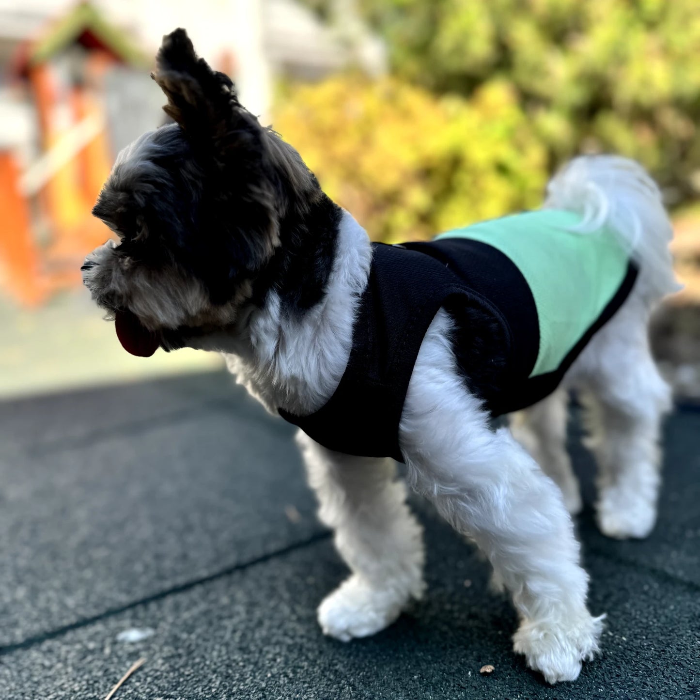 "TDF" Summer Dog Vest