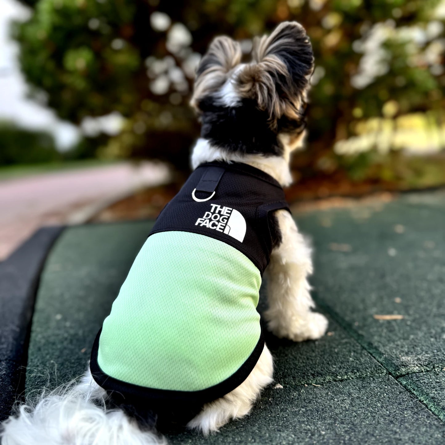 "TDF" Summer Dog Vest