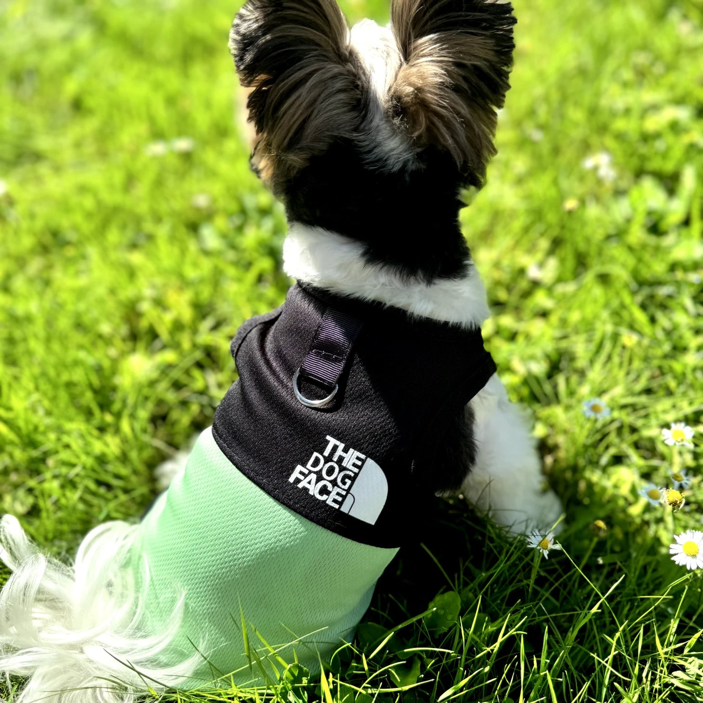 "TDF" Summer Dog Vest