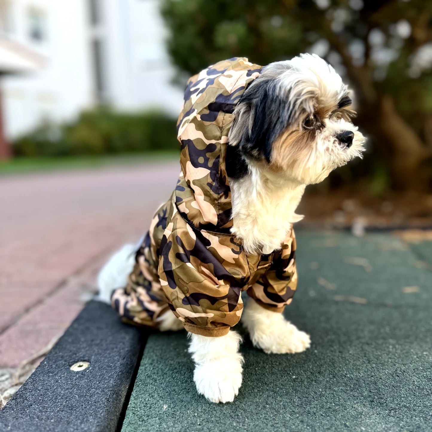 Camouflage Dog Raincoat