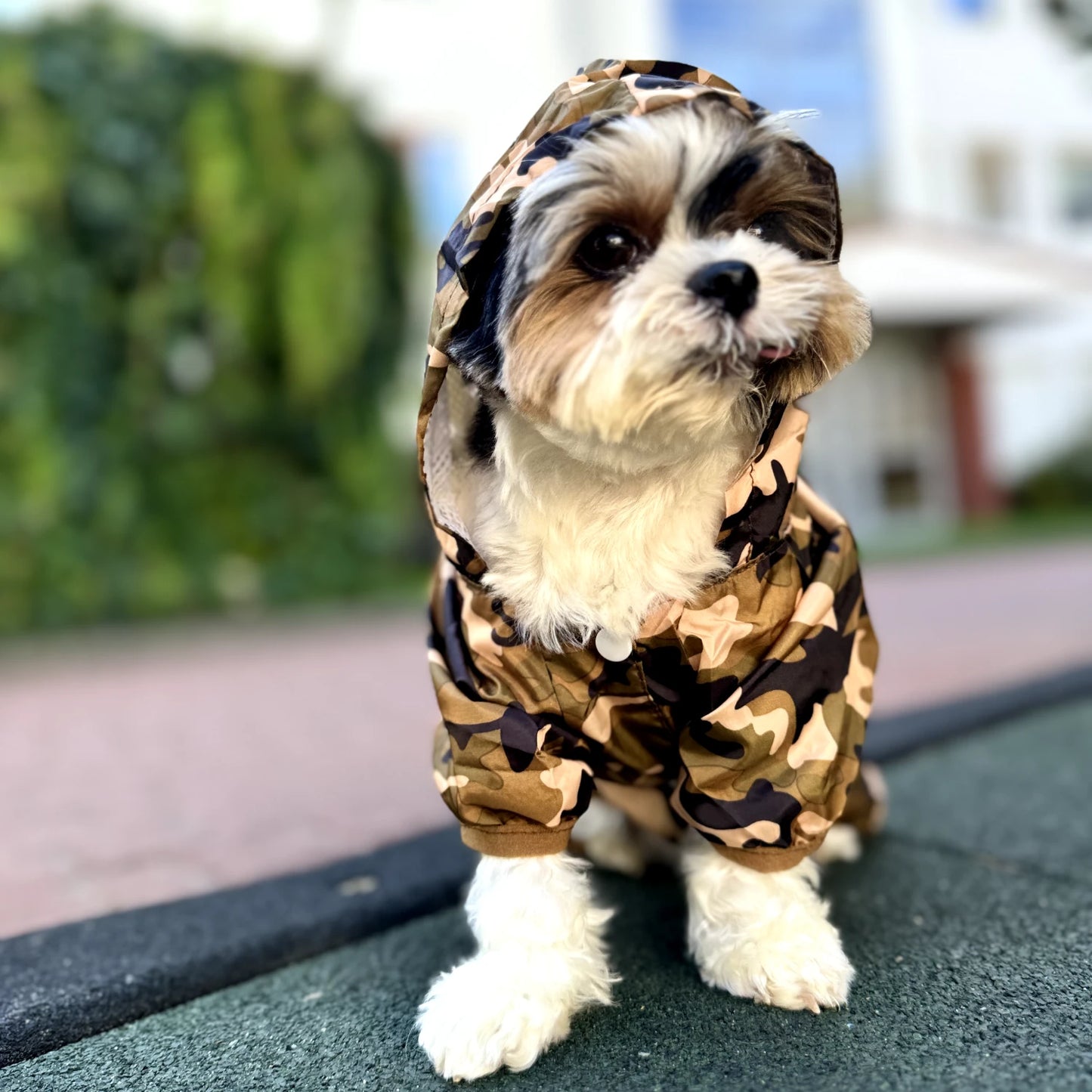 Camouflage Dog Raincoat