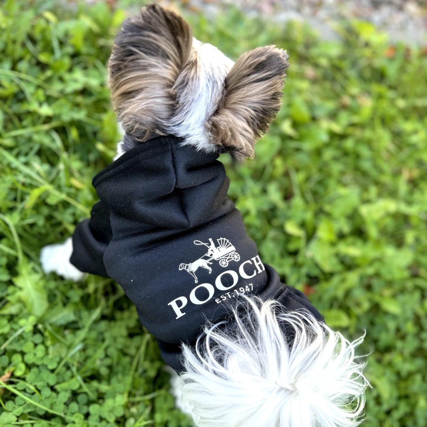 "Pooch" Hoodie