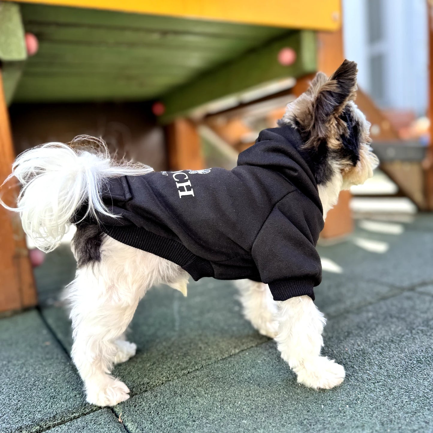 "Pooch" Hoodie