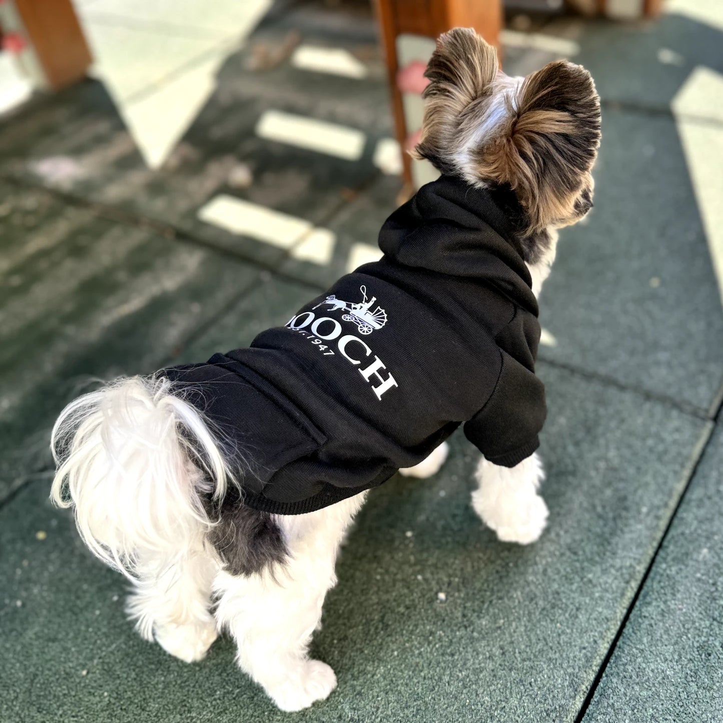 "Pooch" Hoodie