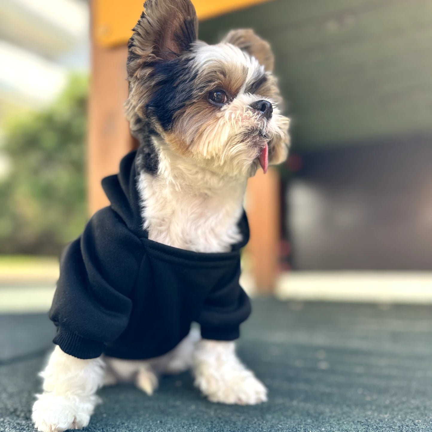 "Pooch" Hoodie