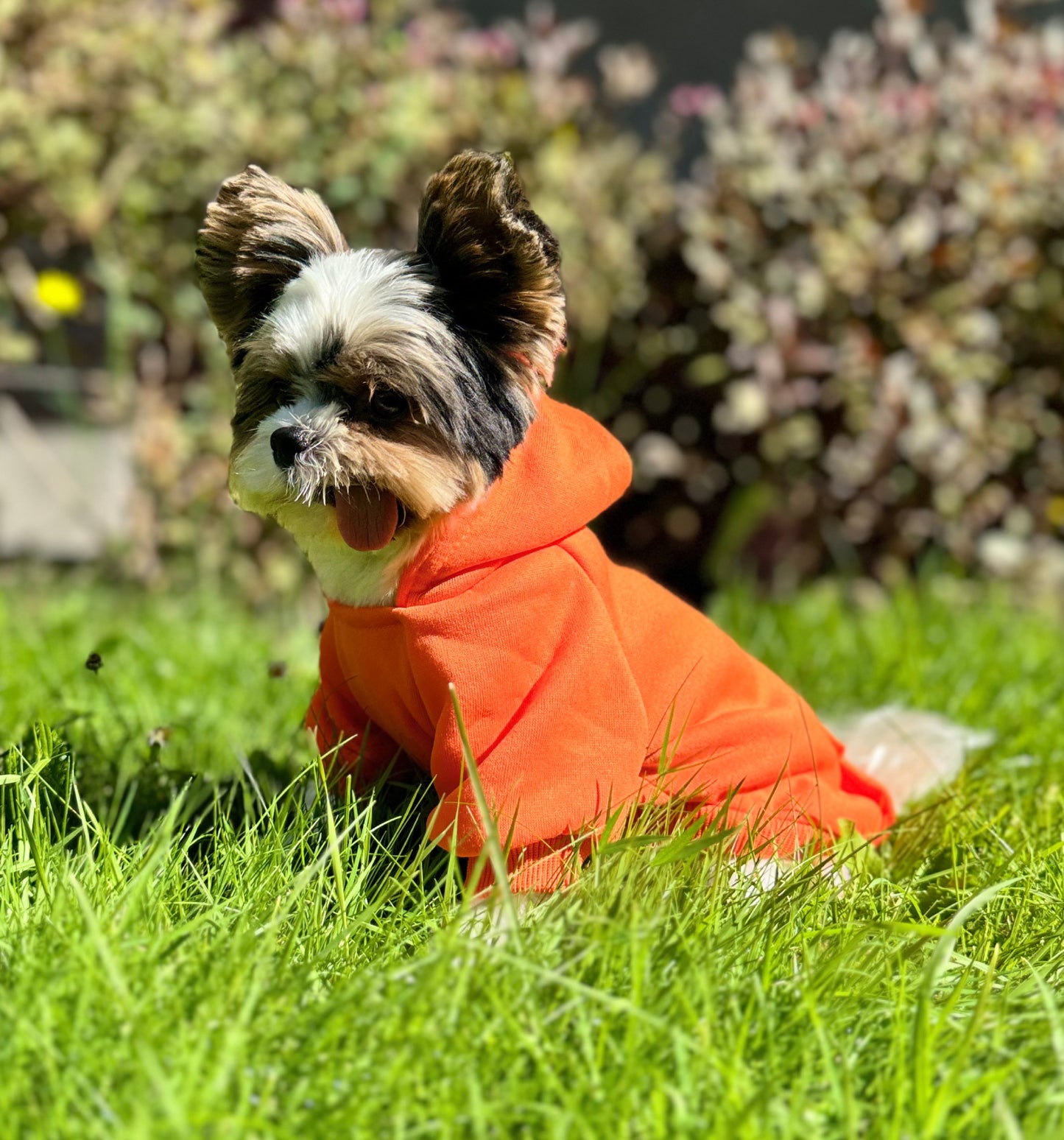 Classic Pet Hoodie