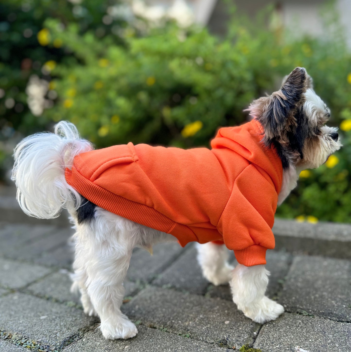 Classic Pet Hoodie