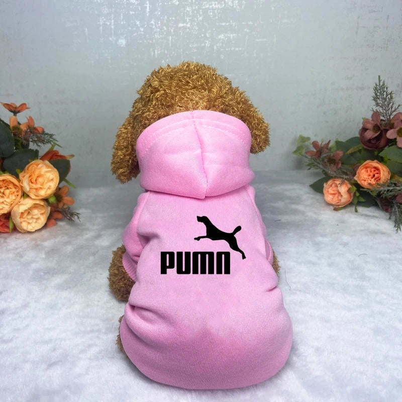 Logo Dog Hoodie