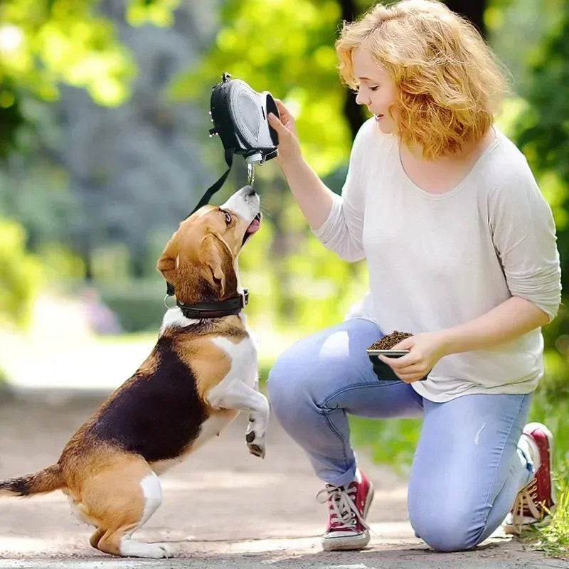 Multi-Function Dog Leash